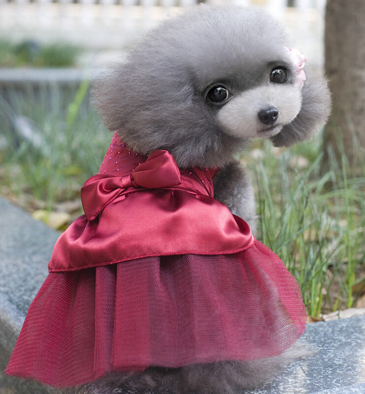 Beautiful Doggy Dress