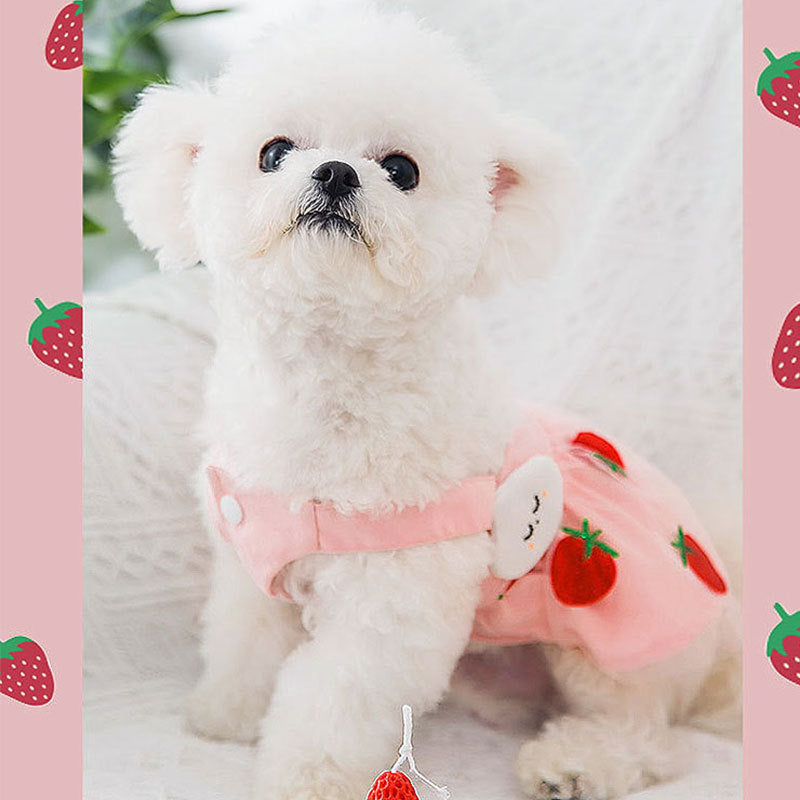 Strawberry Princess Dress For Dog