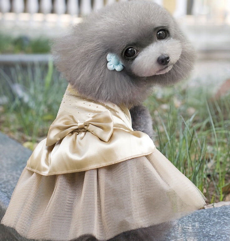 Beautiful Doggy Dress