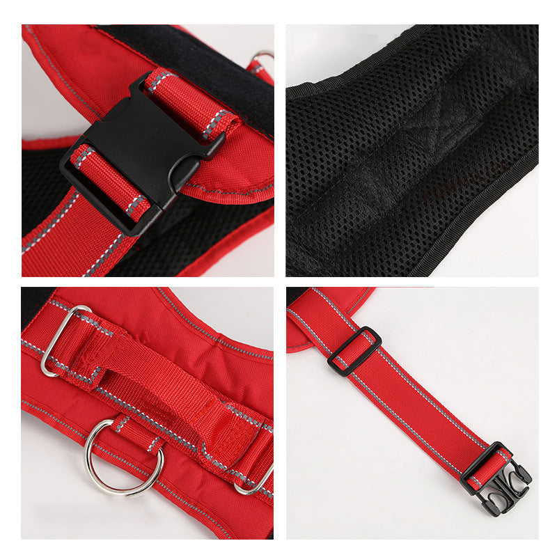 Personalised Pet Chest Strap Products