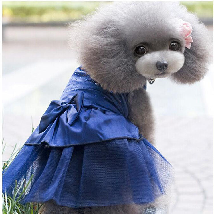 Beautiful Doggy Dress